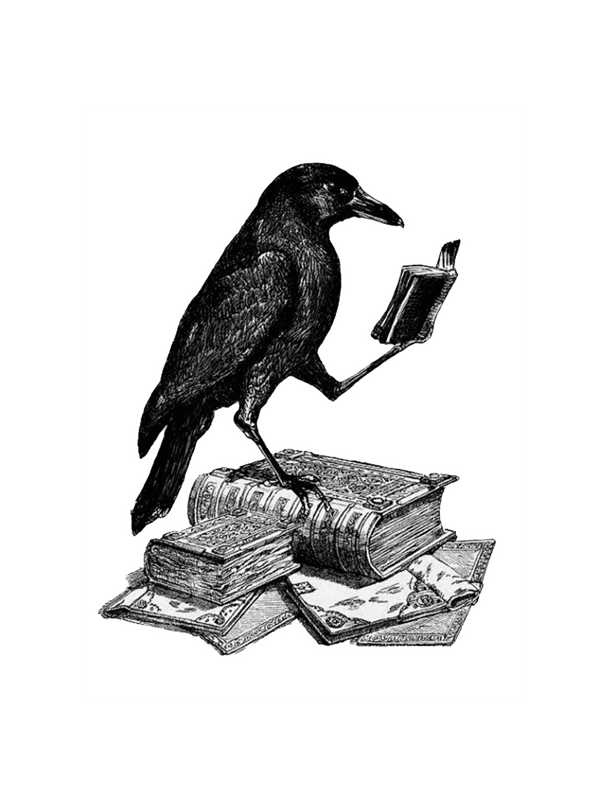 The Crow for Kindle Paperwhite wallpaper featuring png and books and more