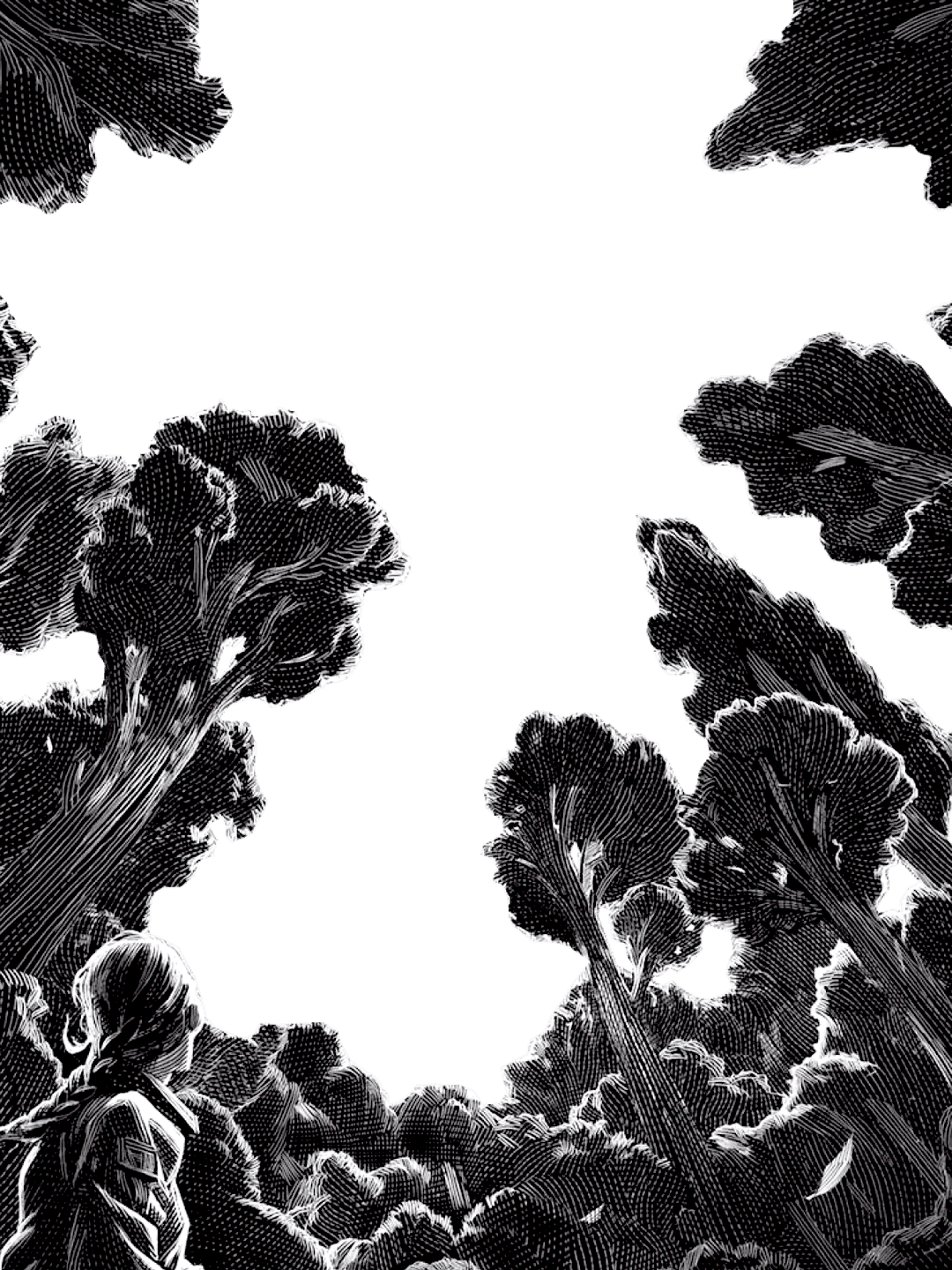 Katniss for Kindle Paperwhite wallpaper featuring figure and forest and more