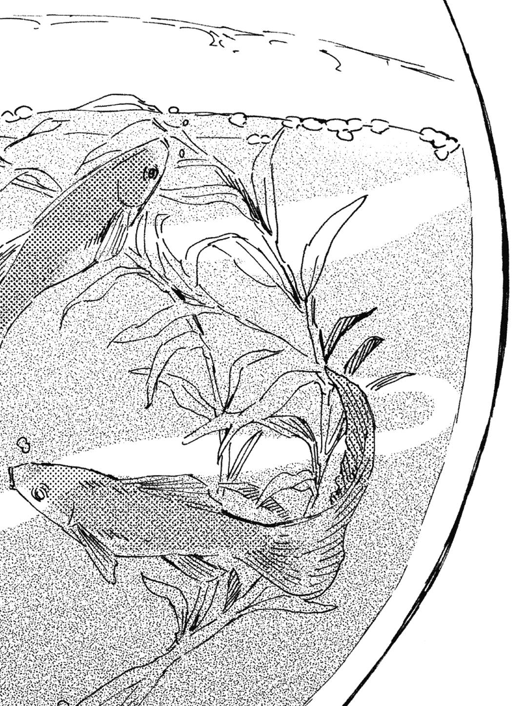 Fish bowl sketch for Other wallpaper featuring fish and aquarium and more