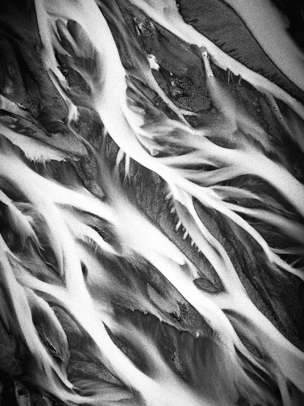 Branching Flows for Kindle Paperwhite wallpaper featuring abstract and black and white and more