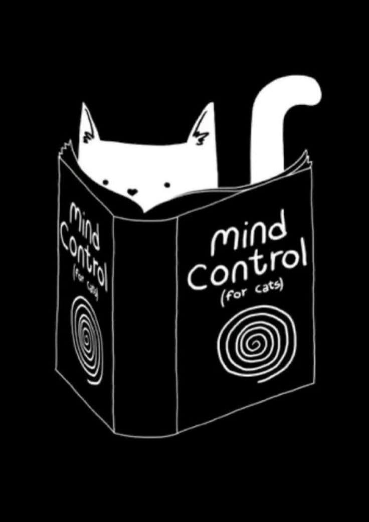 Mind control for e-reader wallpaper featuring cat and book and more