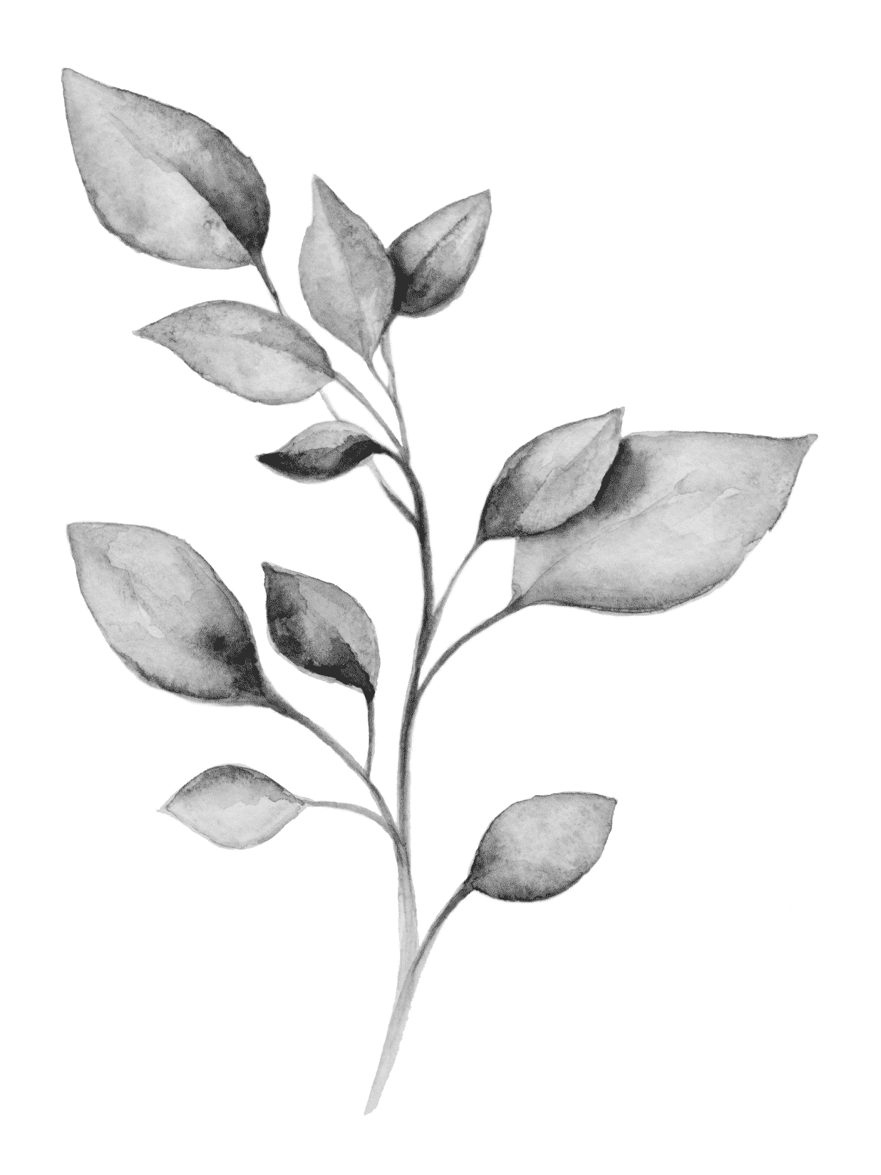 Leafs Background for e-reader wallpaper featuring leaves and branch and more