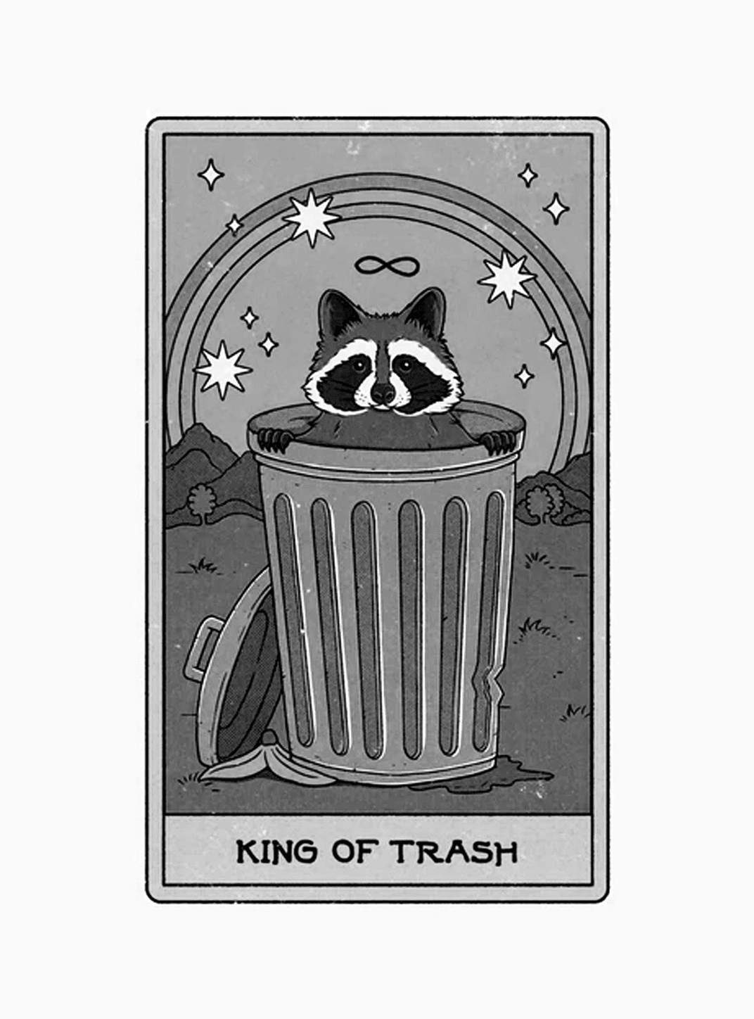 King of Trash for Other wallpaper featuring raccoon and trash can and more