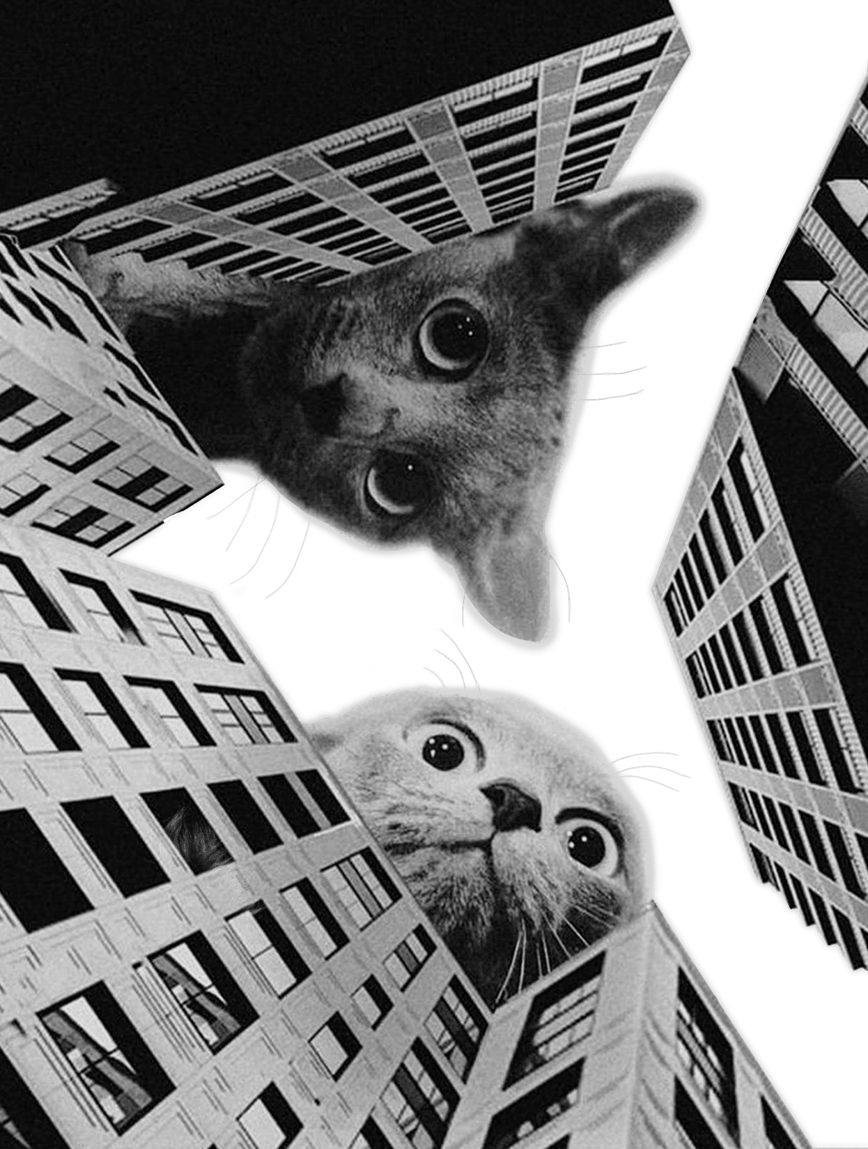 The Gods for Kindle Paperwhite wallpaper featuring png and cats and more