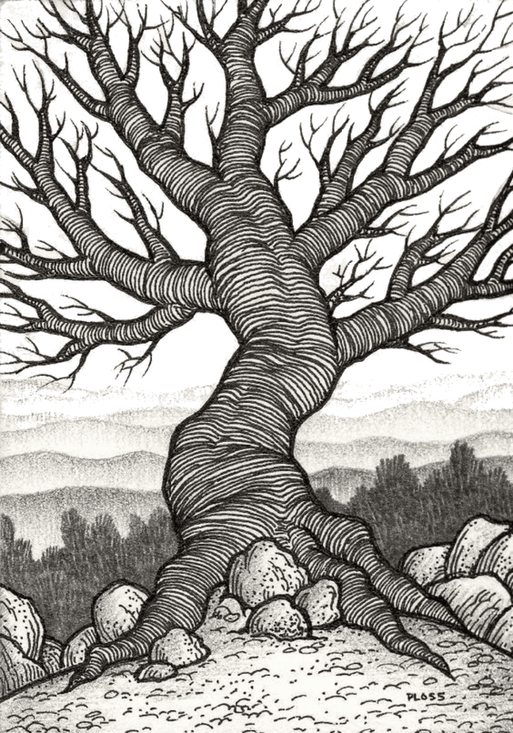 Bare Tree for Kindle Paperwhite wallpaper featuring nature and tree