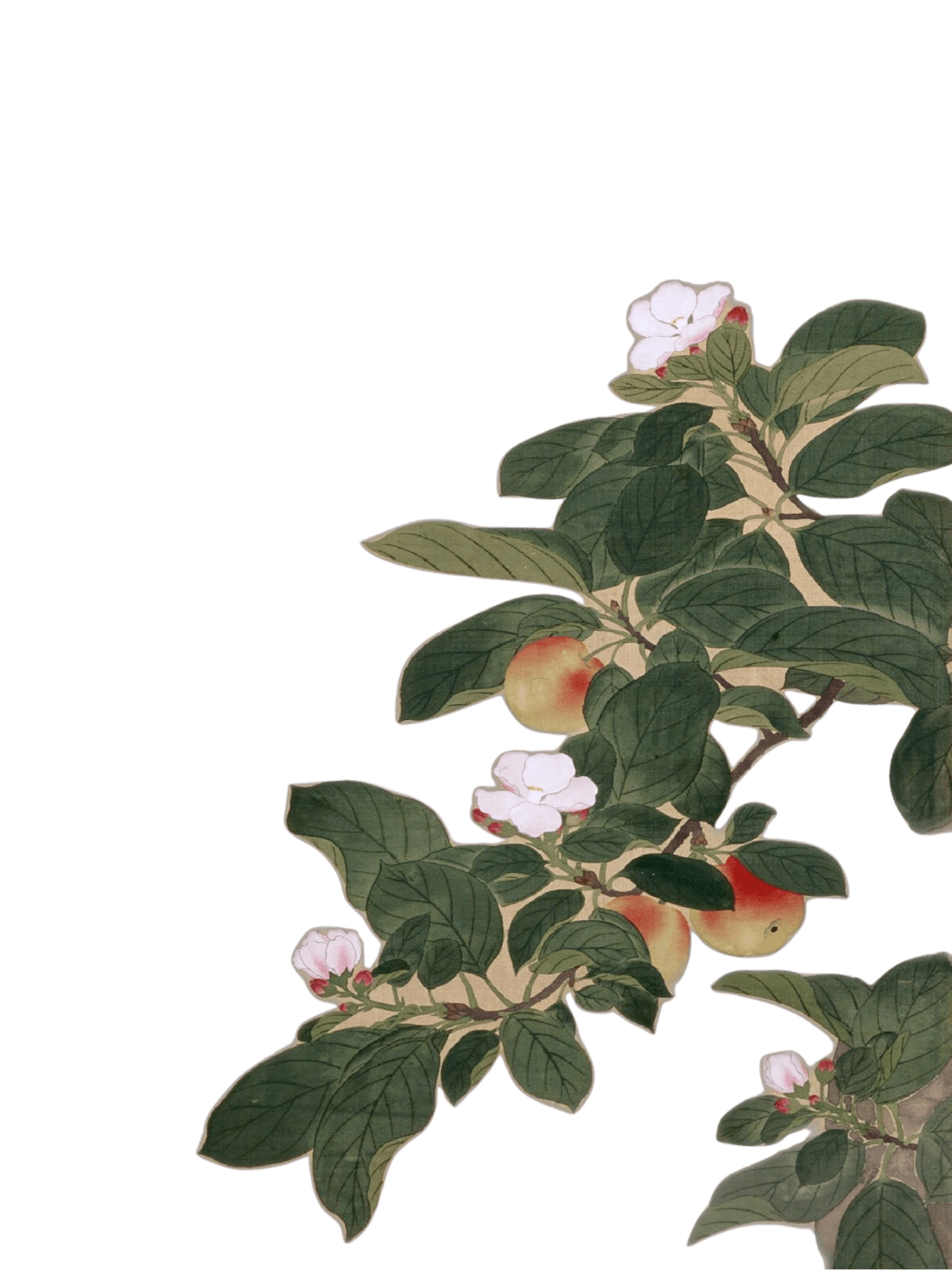 Leaves for Kindle Paperwhite wallpaper