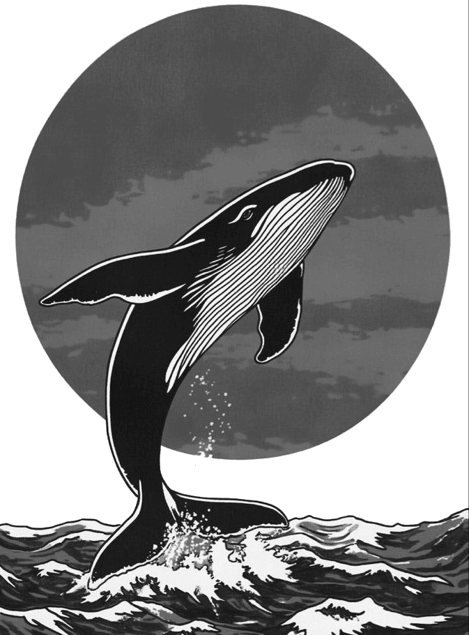 whale for Kindle Paperwhite wallpaper featuring nature