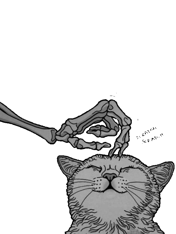 cat for Kindle Paperwhite wallpaper featuring png and skeleton and more