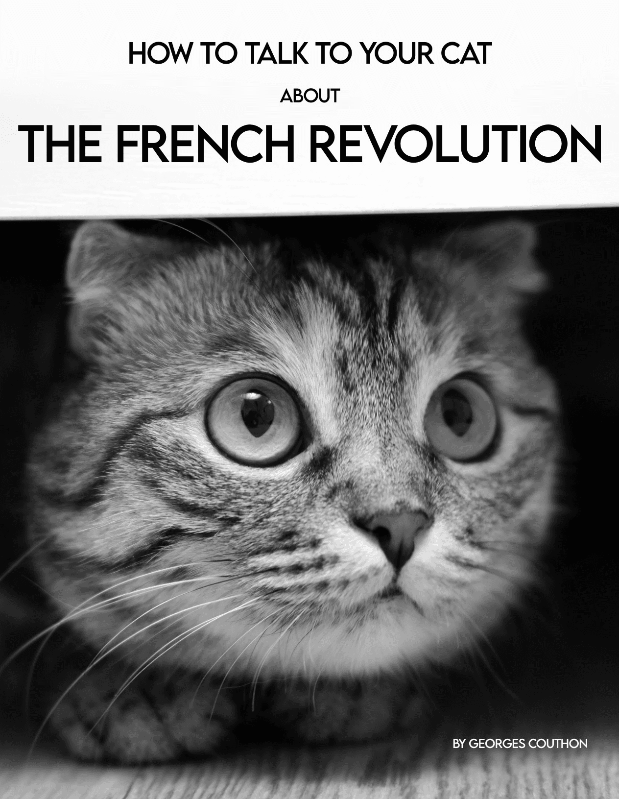 How to Talk to Your Cat about THE FRENCH REVOLUTION for Kindle Paperwhite e-reader wallpaper or screensaver featuring cat and history and more