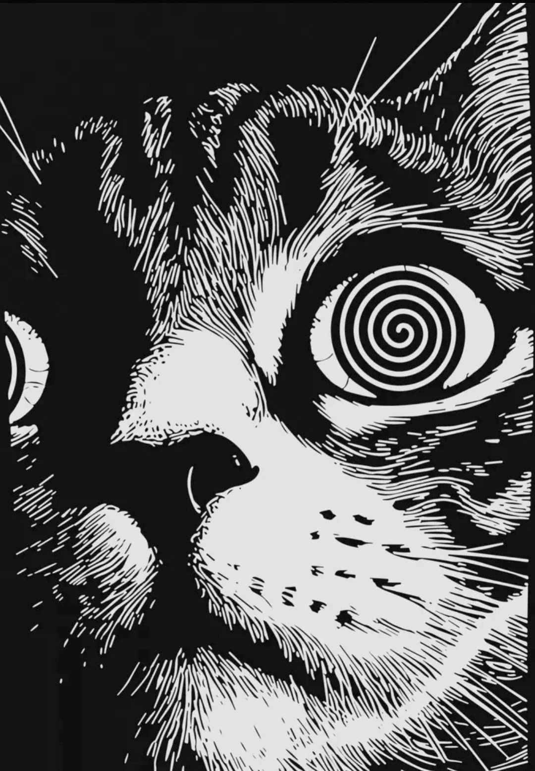 Psychedelic Cat for Kindle Paperwhite wallpaper featuring cat