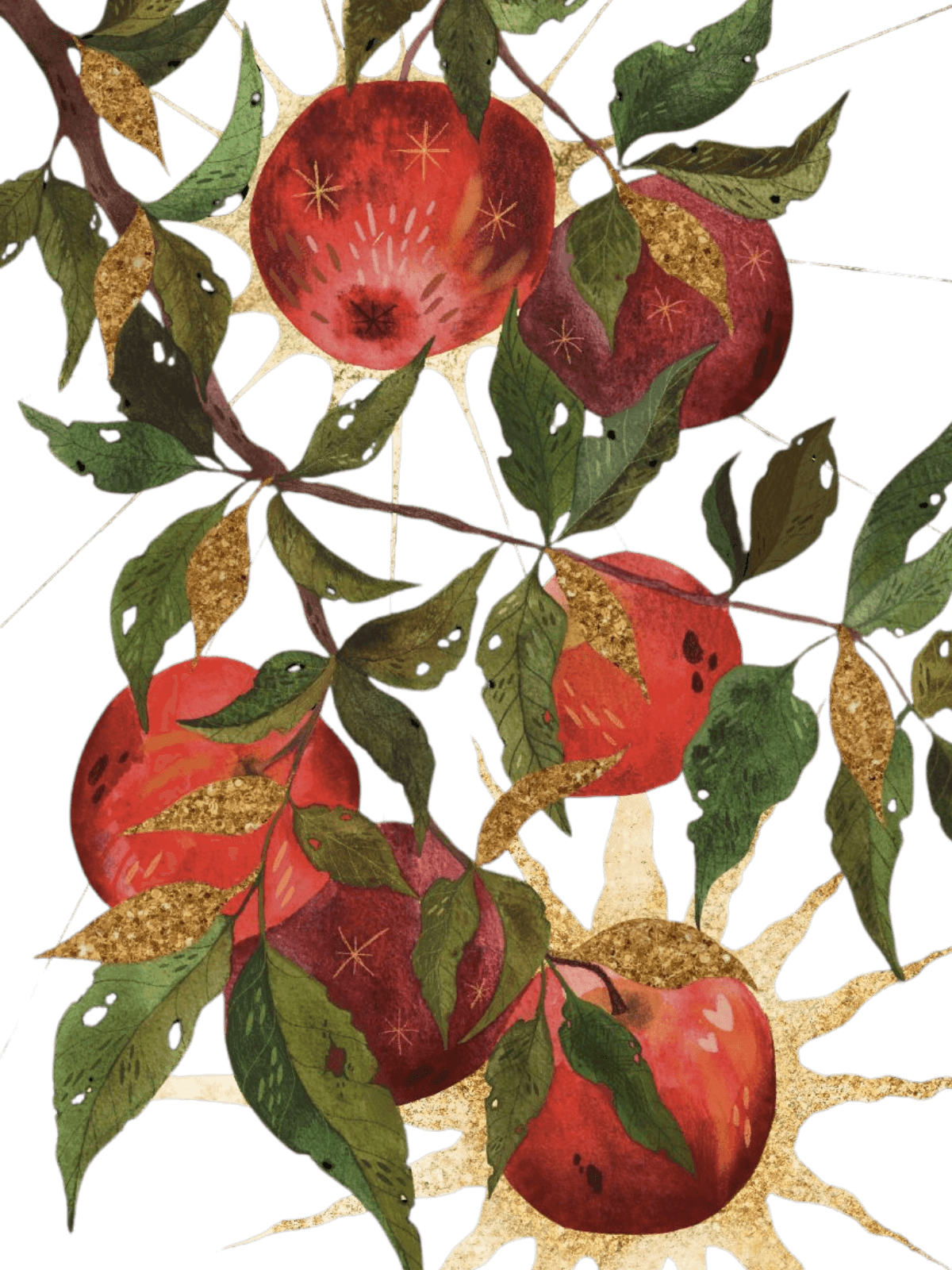 fruit for Kindle Paperwhite wallpaper