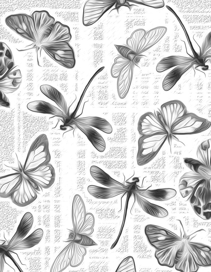 Butterflies for Kindle Paperwhite wallpaper featuring nature and bugs and more