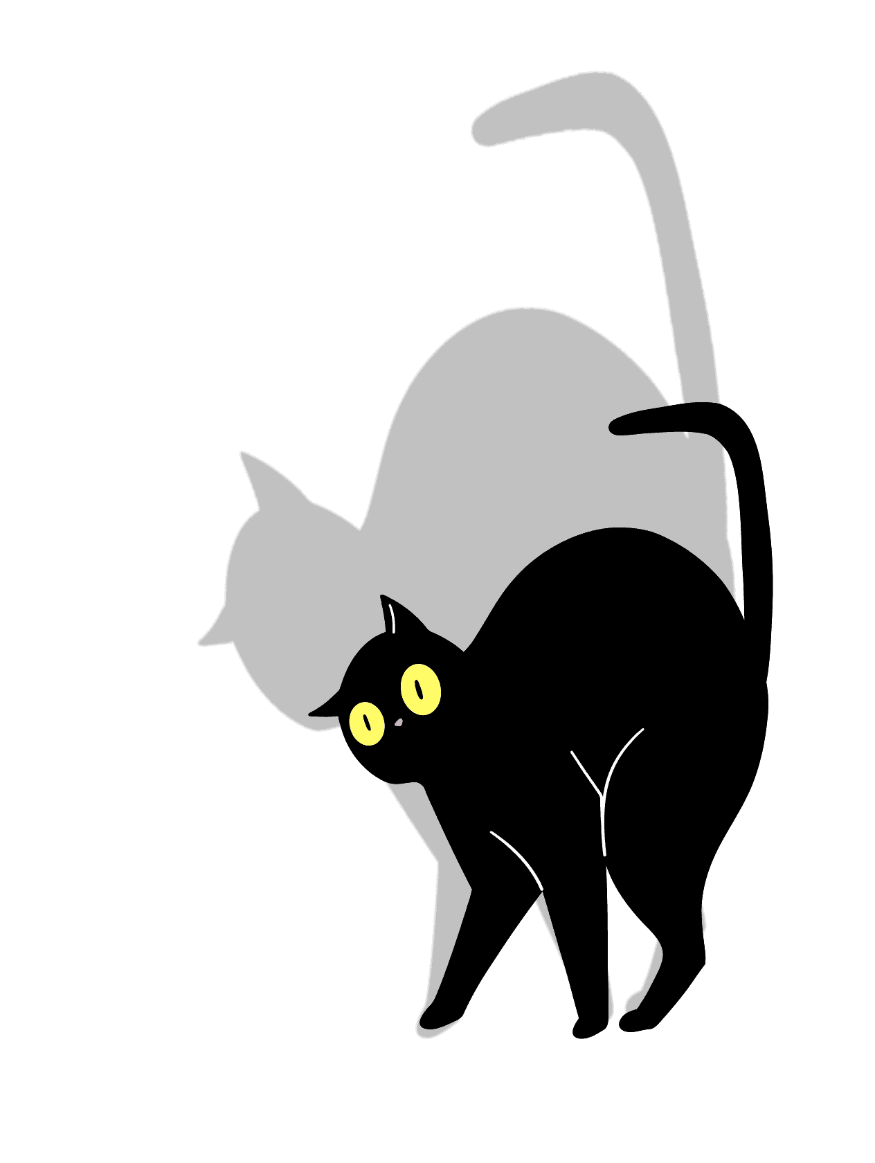 Black Cat for Kobo Libra Colour 2, Kindle Paperwhite, Kindle Basic, Kobo Clara Colour, Kobo Clara BW e-reader wallpaper or screensaver featuring cat and animals and more