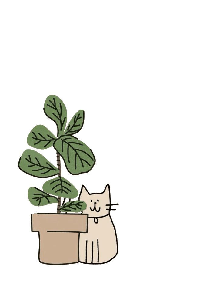 cat and plant for Kindle Paperwhite wallpaper featuring png and cat and more