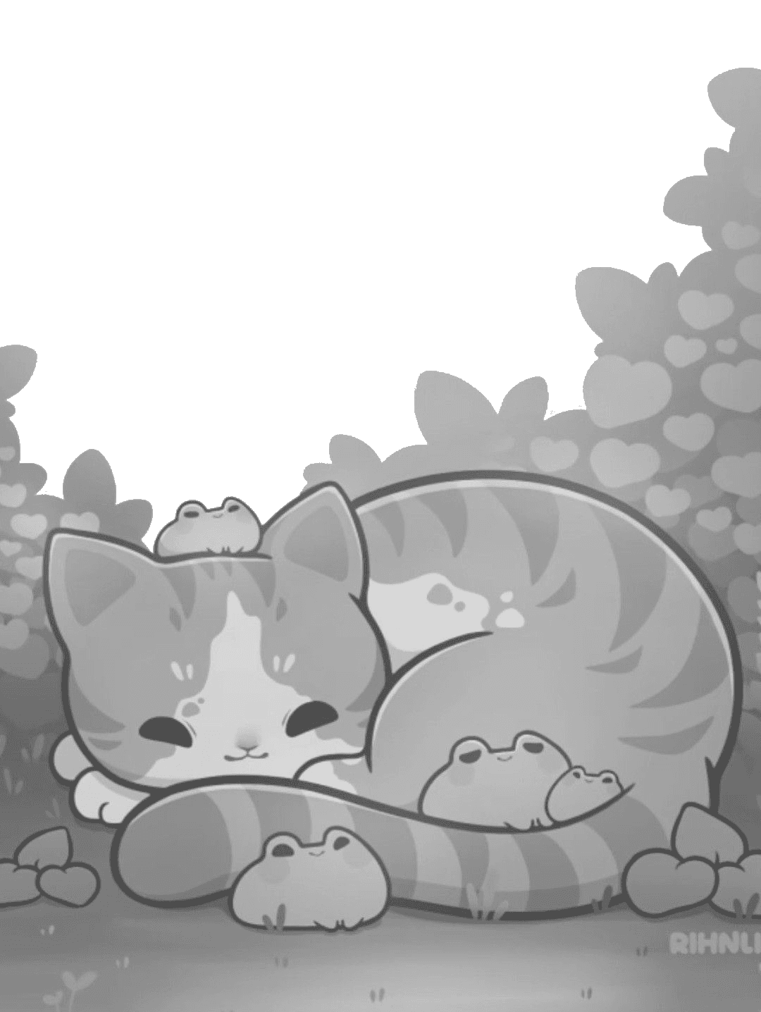 sleeping cat for Kindle Paperwhite wallpaper featuring cute and cat